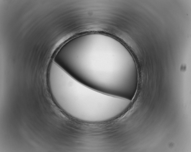 X0000102340834200808010911