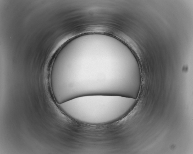 X0000102340835200808010911