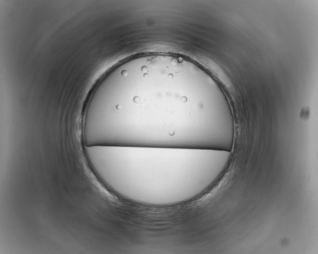 X0000102340839200808010911