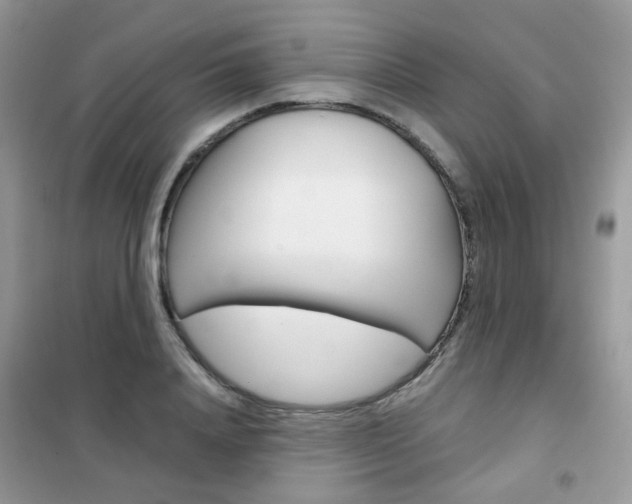 X0000102340840200808010911