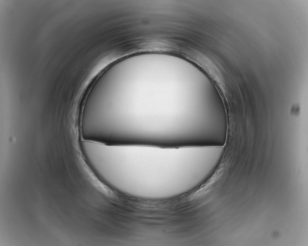 X0000102340843200808010911
