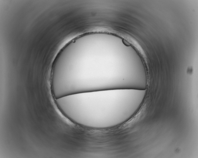 X0000102340847200808010911