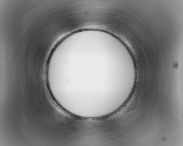 X0000102340848200808010911