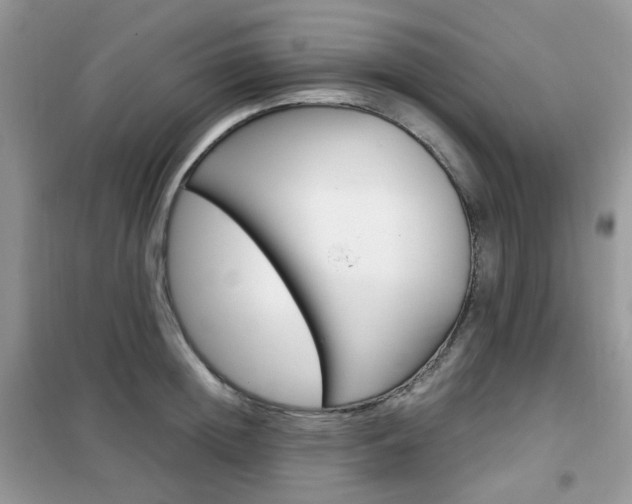X0000102340852200808010911