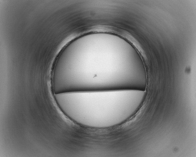 X0000102340853200808010911
