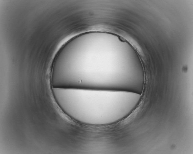 X0000102340854200808010911