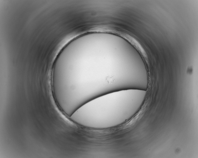X0000102340855200808010911