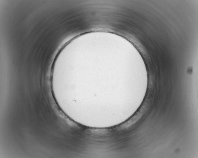 X0000102340856200808010911