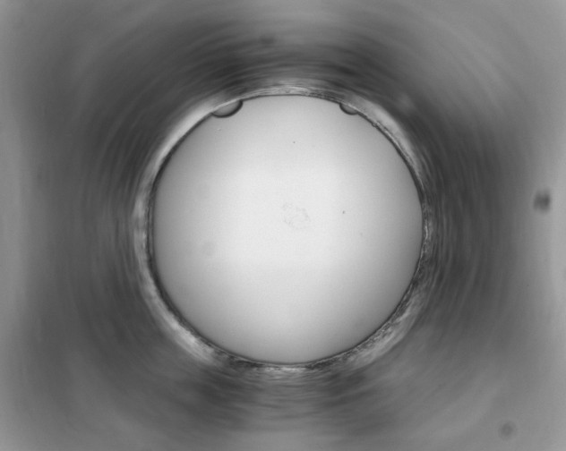 X0000102340859200808010911