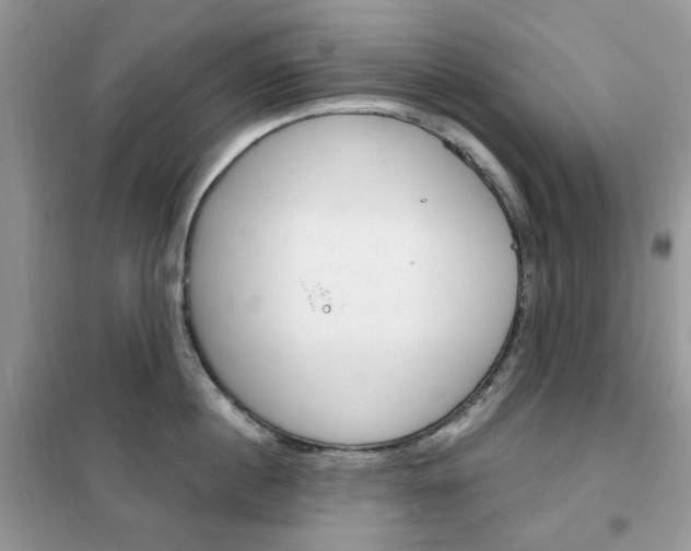 X0000102340860200808010911