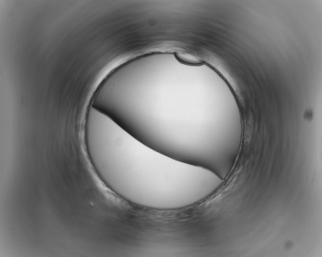 X0000102340861200808010911