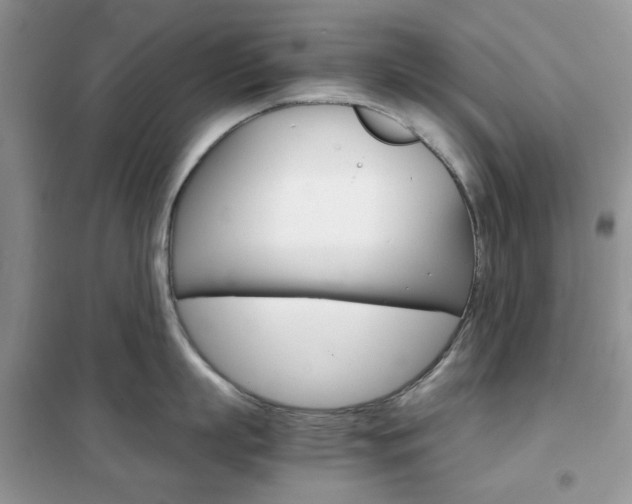 X0000102340863200808010911