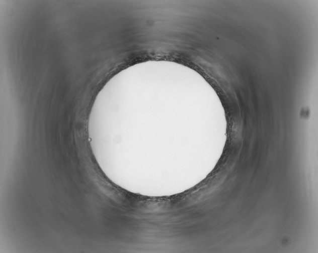 X0000102340865200808010910