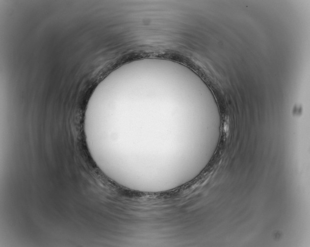 X0000102340867200808010910