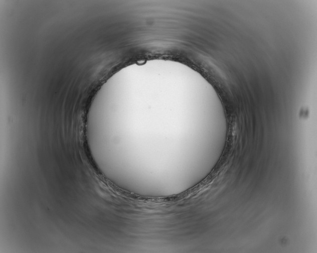 X0000102340868200808010910