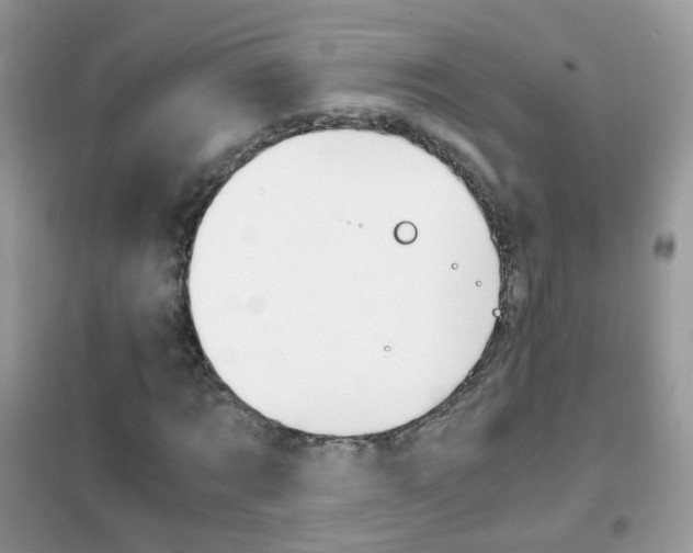 X0000102340869200808010910