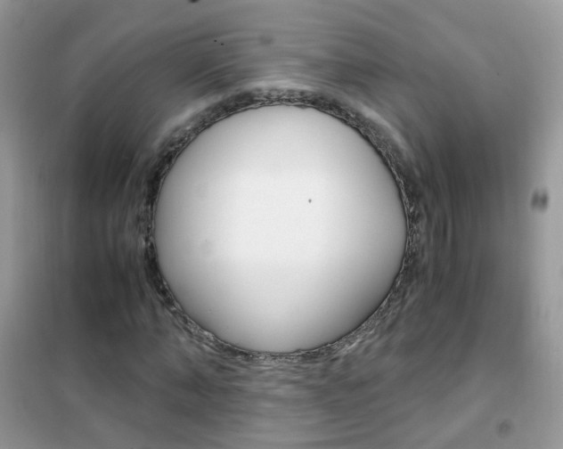 X0000102340870200808010910