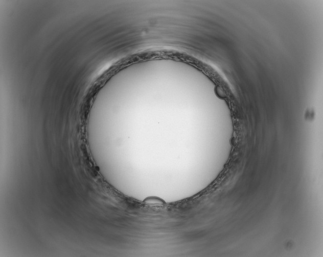 X0000102340871200808010910