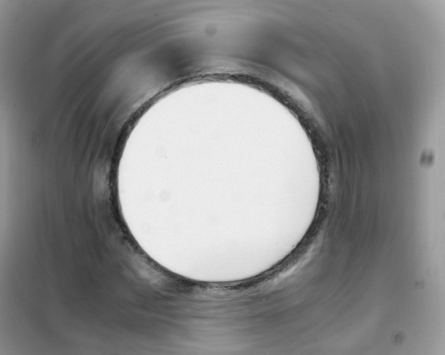 X0000102340873200808010910