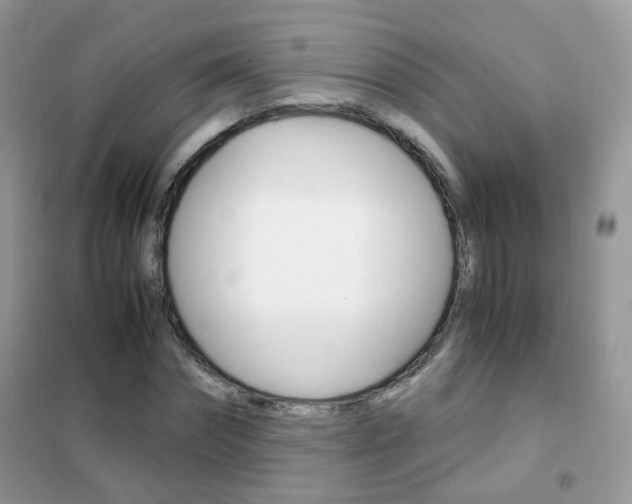 X0000102340874200808010910