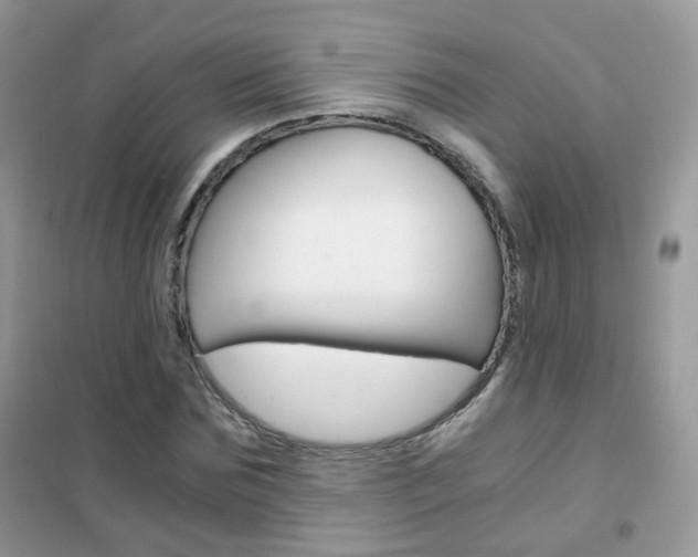 X0000102340875200808010910