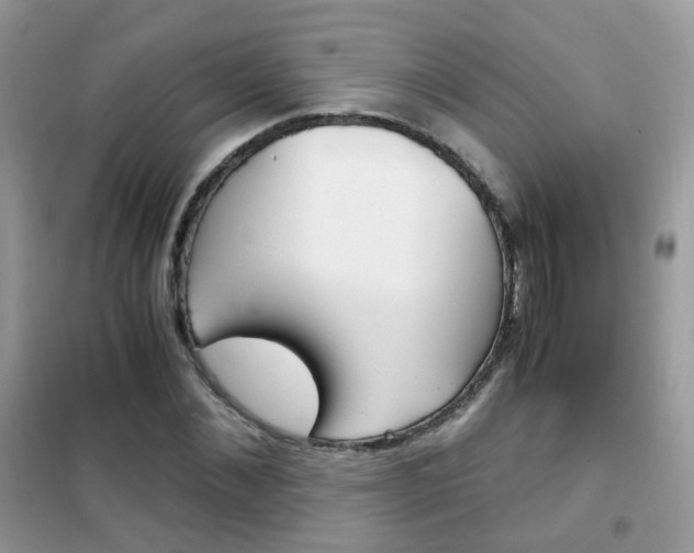 X0000102340876200808010910
