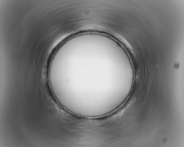 X0000102340877200808010910