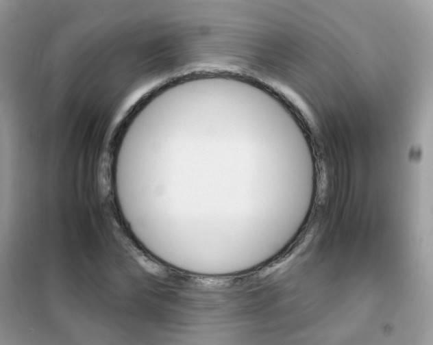 X0000102340878200808010910