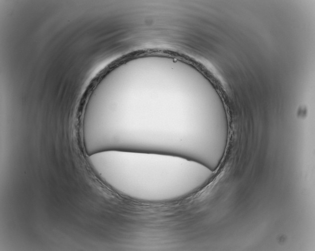 X0000102340879200808010910