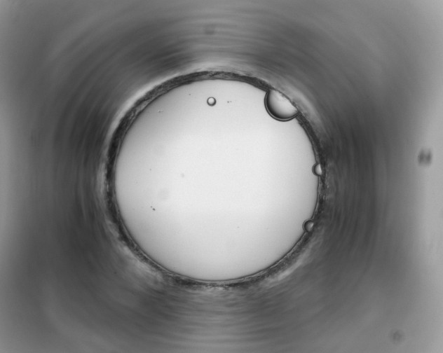 X0000102340880200808010910