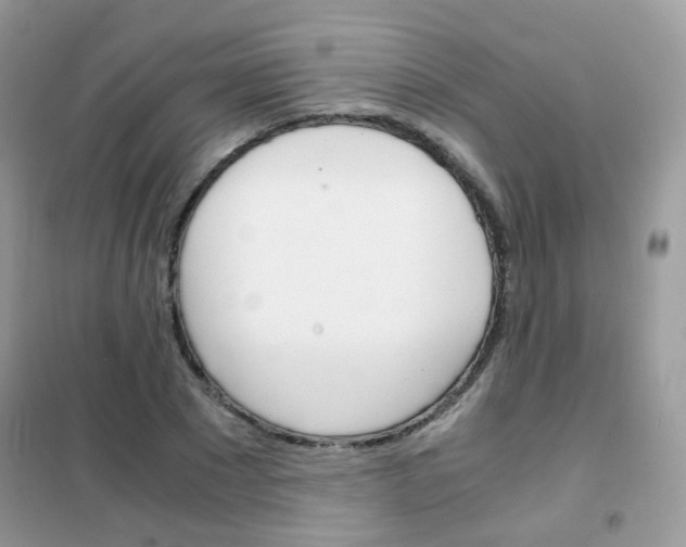 X0000102340881200808010910