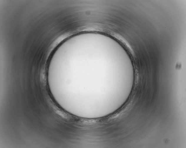 X0000102340882200808010910