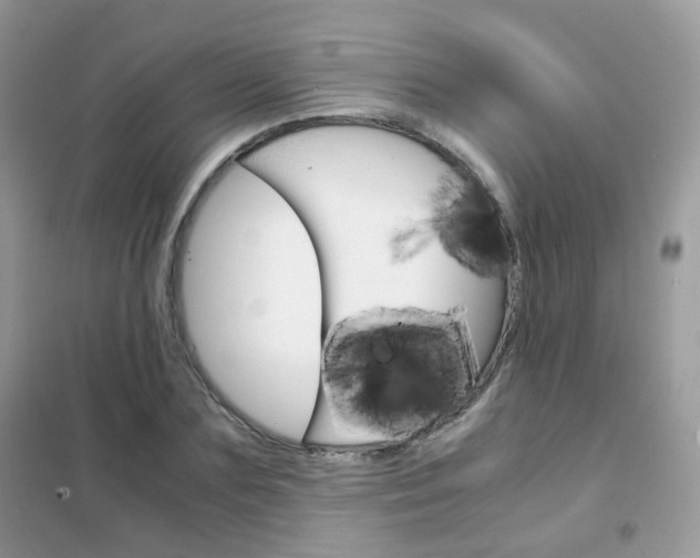 X0000102340883200808010910