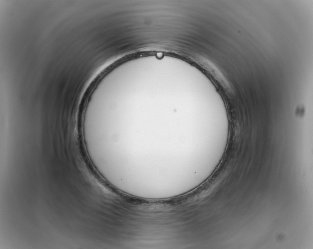 X0000102340884200808010910