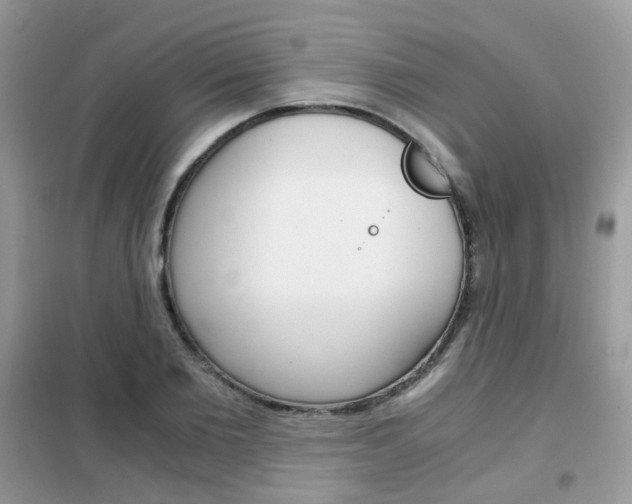 X0000102340885200808010910