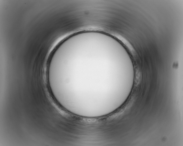 X0000102340886200808010910
