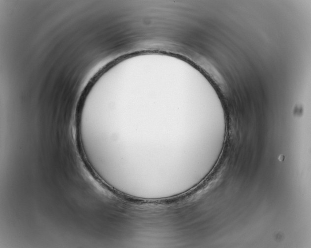 X0000102340888200808010910