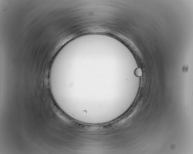 X0000102340889200808010910