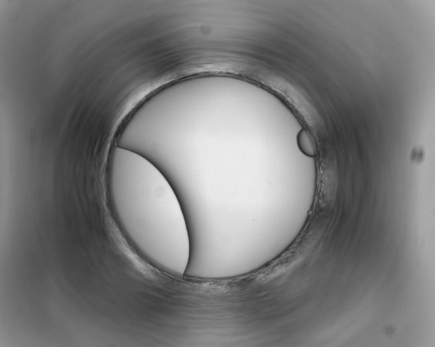 X0000102340890200808010910