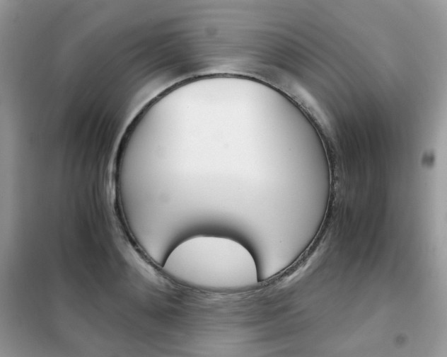 X0000102340892200808010910