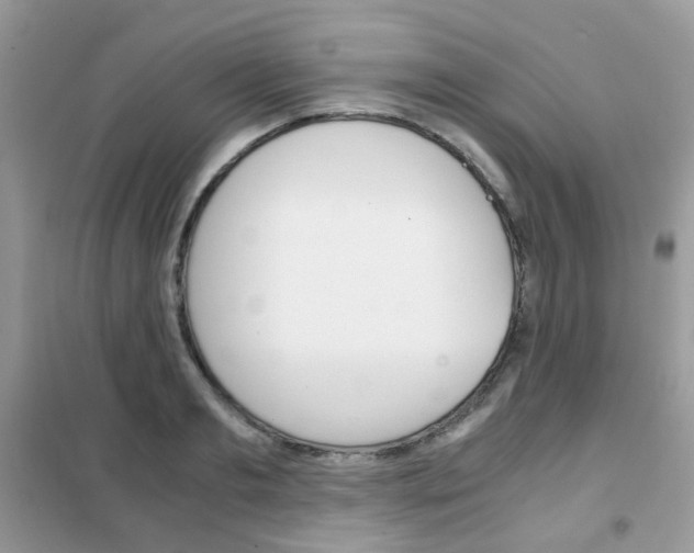 X0000102340893200808010910