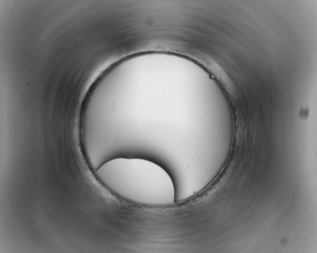X0000102340896200808010910