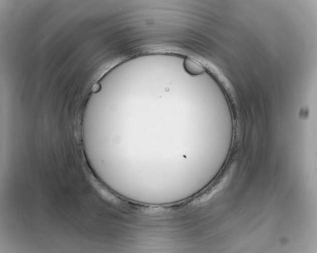 X0000102340897200808010910