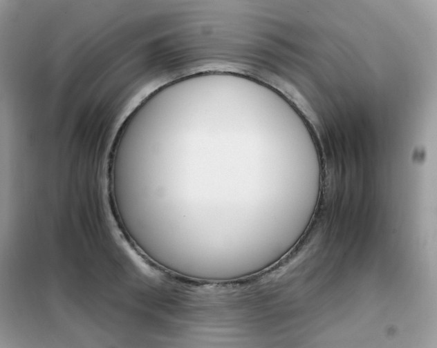 X0000102340898200808010910