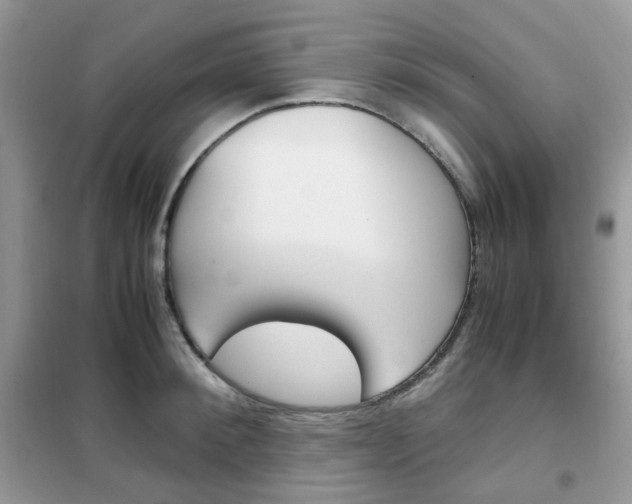 X0000102340900200808010910