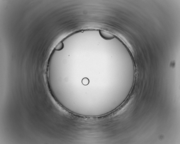 X0000102340901200808010910