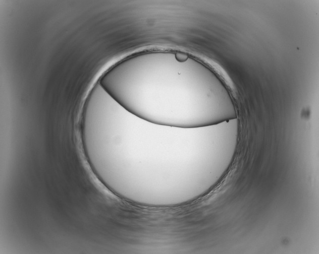 X0000102340903200808010910