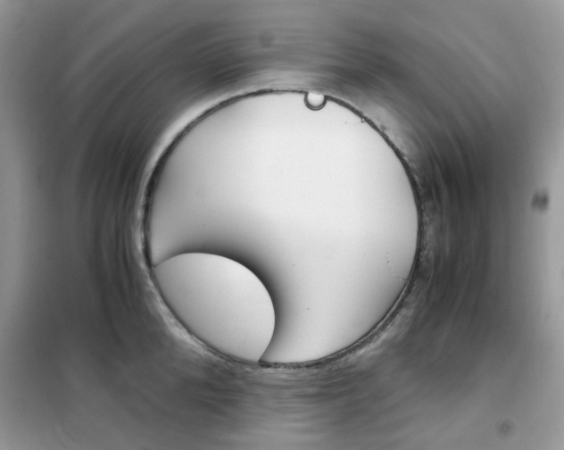 X0000102340904200808010910