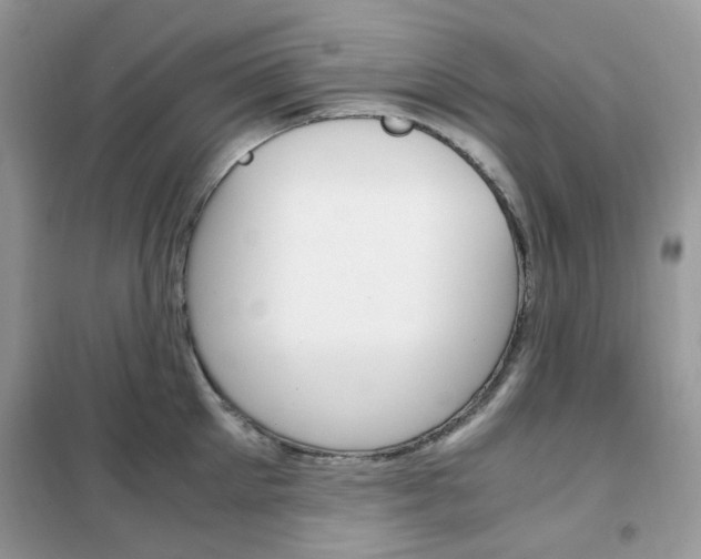 X0000102340905200808010910