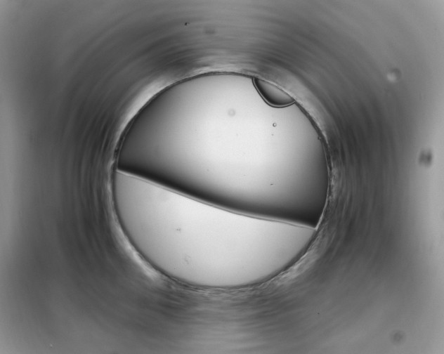 X0000102340906200808010910